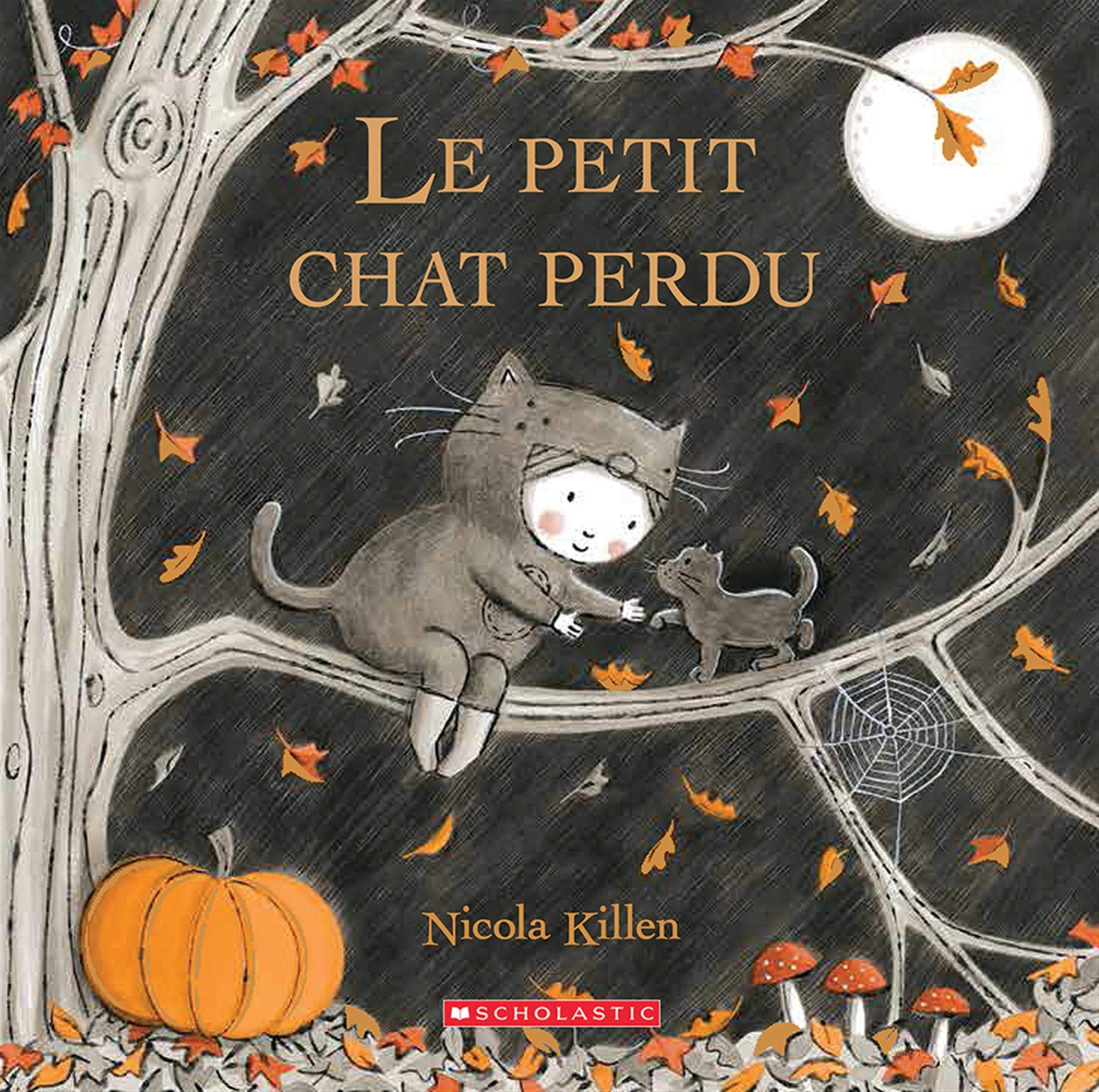Le Petit Chat Perdu Books
