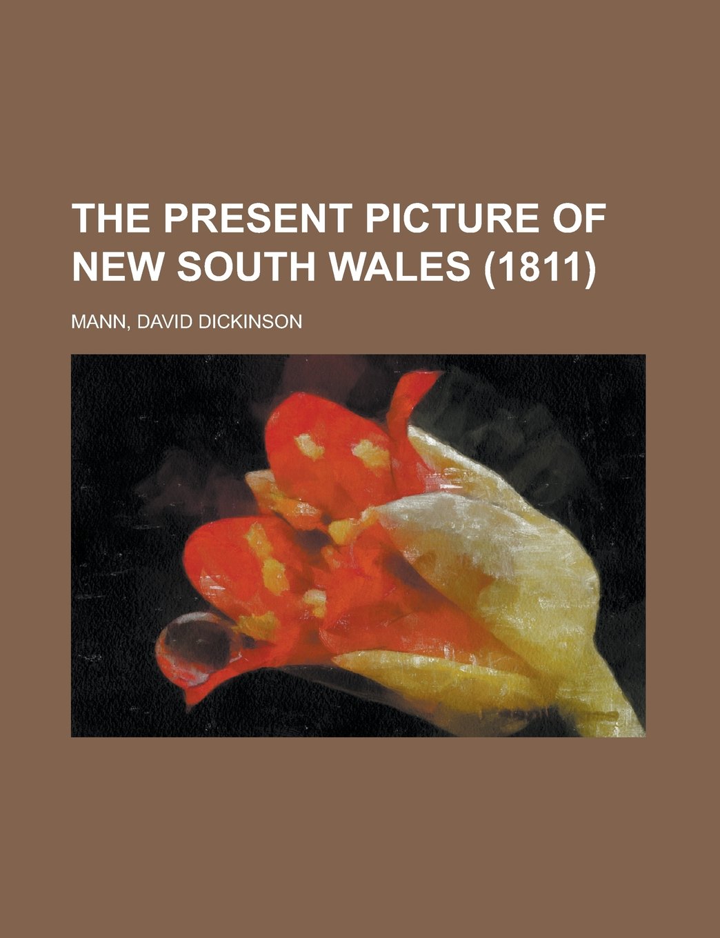 The Present Picture of New South Wales (1811) Travel