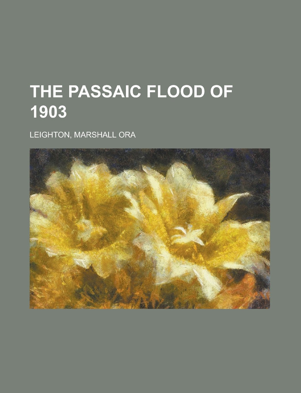 The Passaic Flood of 1903 Politics & History