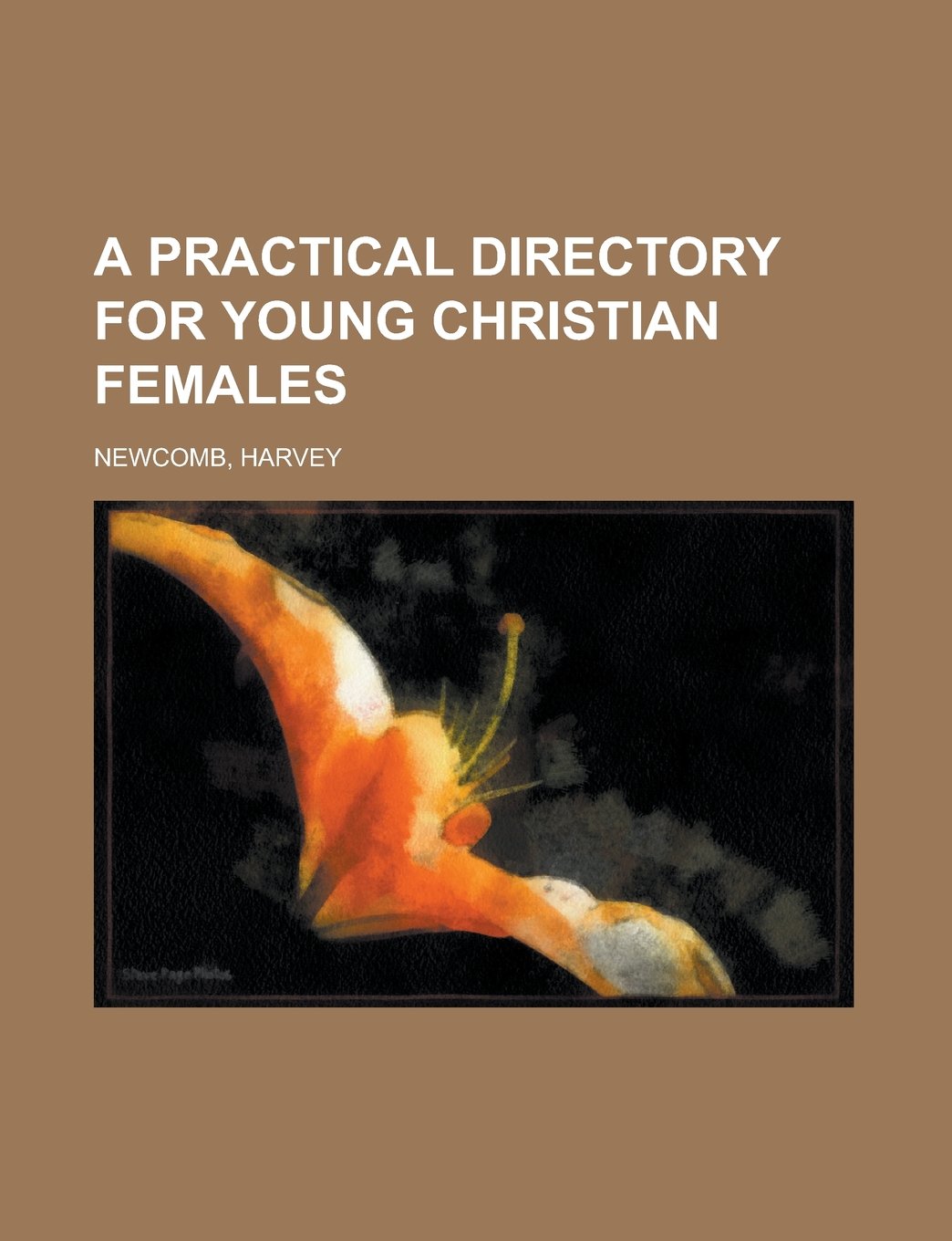 A Practical Directory for Young Christian Females Contemporary literature