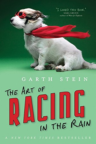 Art Of Racing In The Rain Contemporary literature
