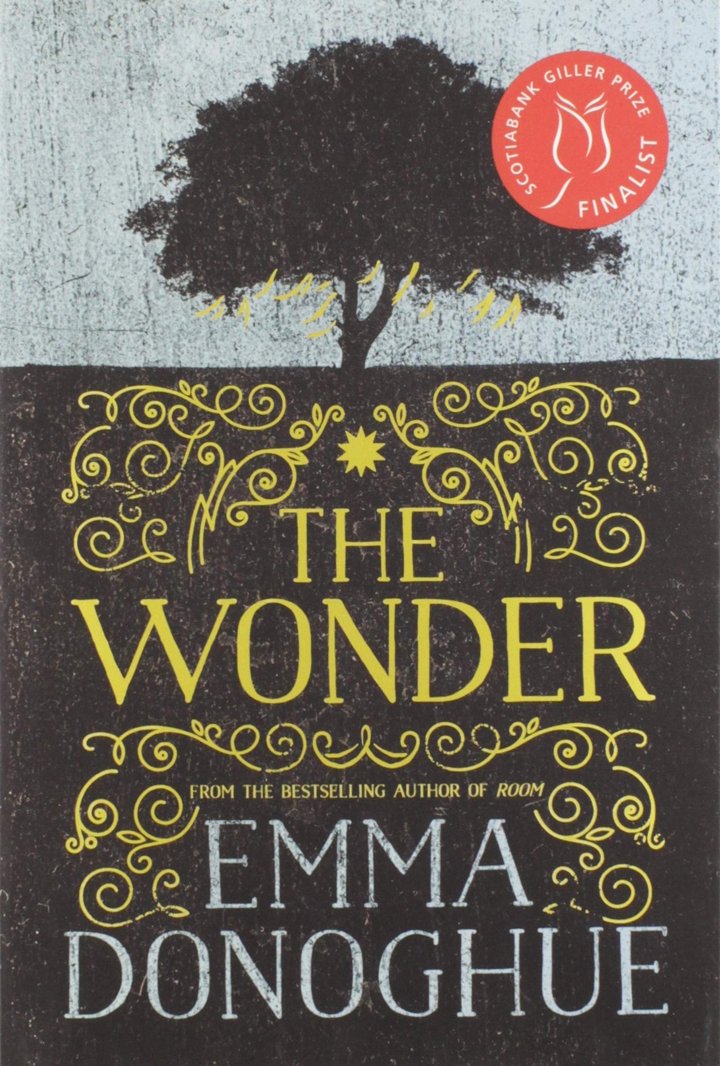 The Wonder Historical Fiction