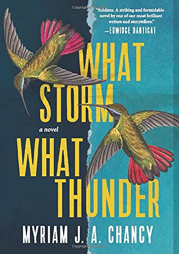 What Storm, What Thunder: A Novel Contemporary literature
