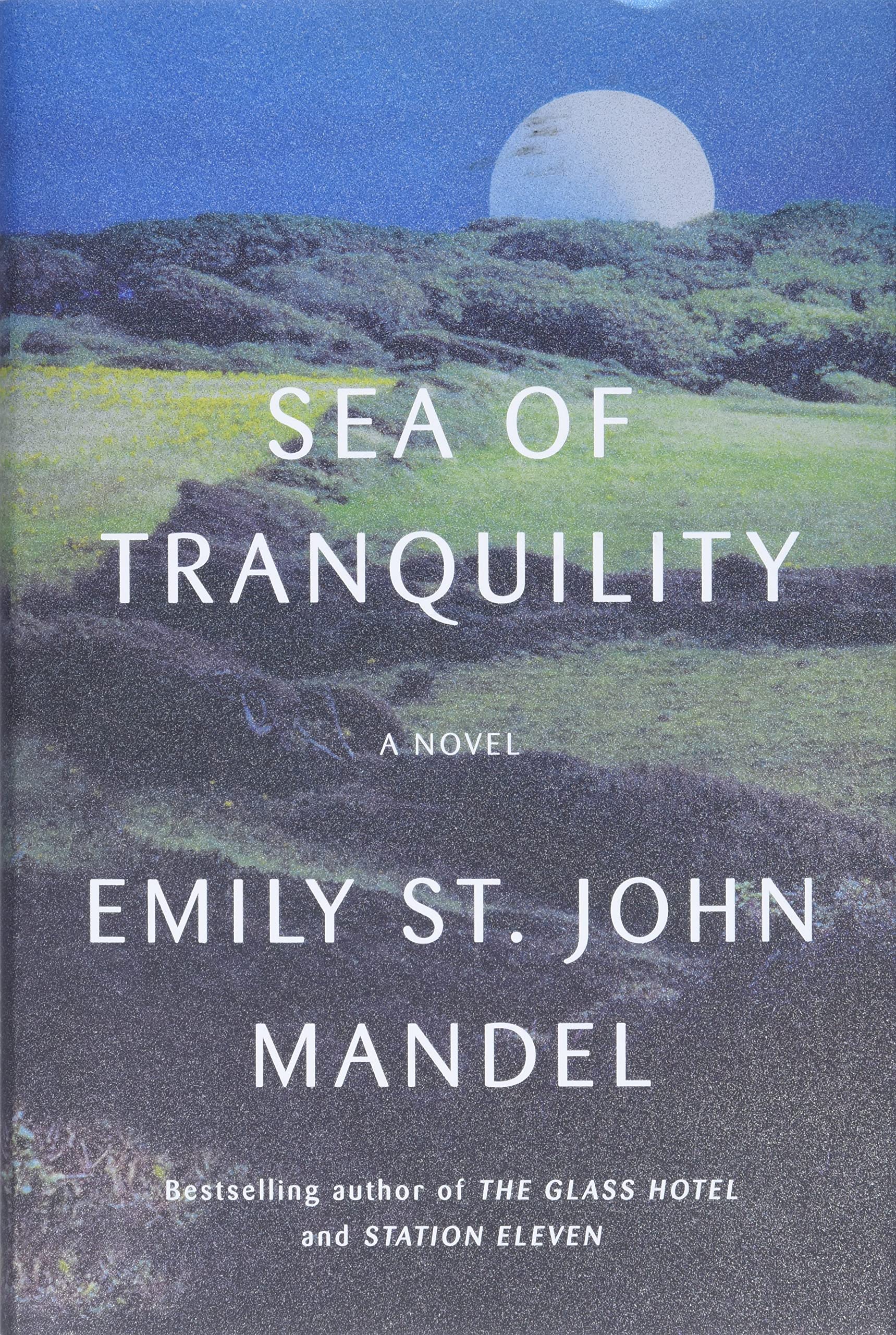 Sea of Tranquility: A Novel Contemporary literature