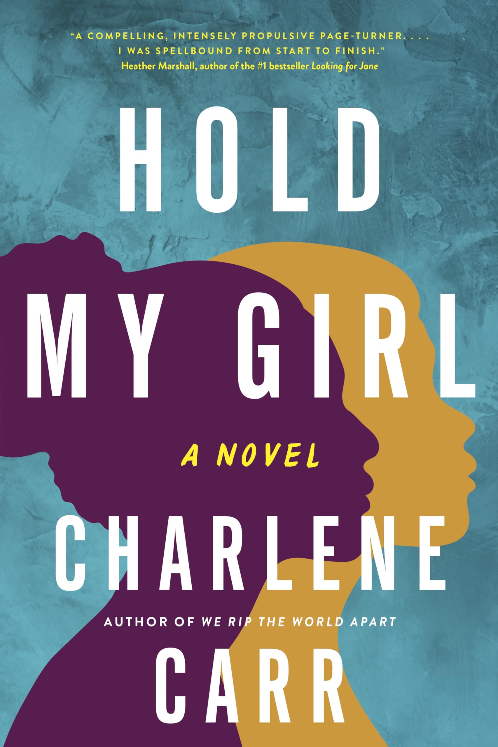 Hold My Girl: A Novel Historical Fiction