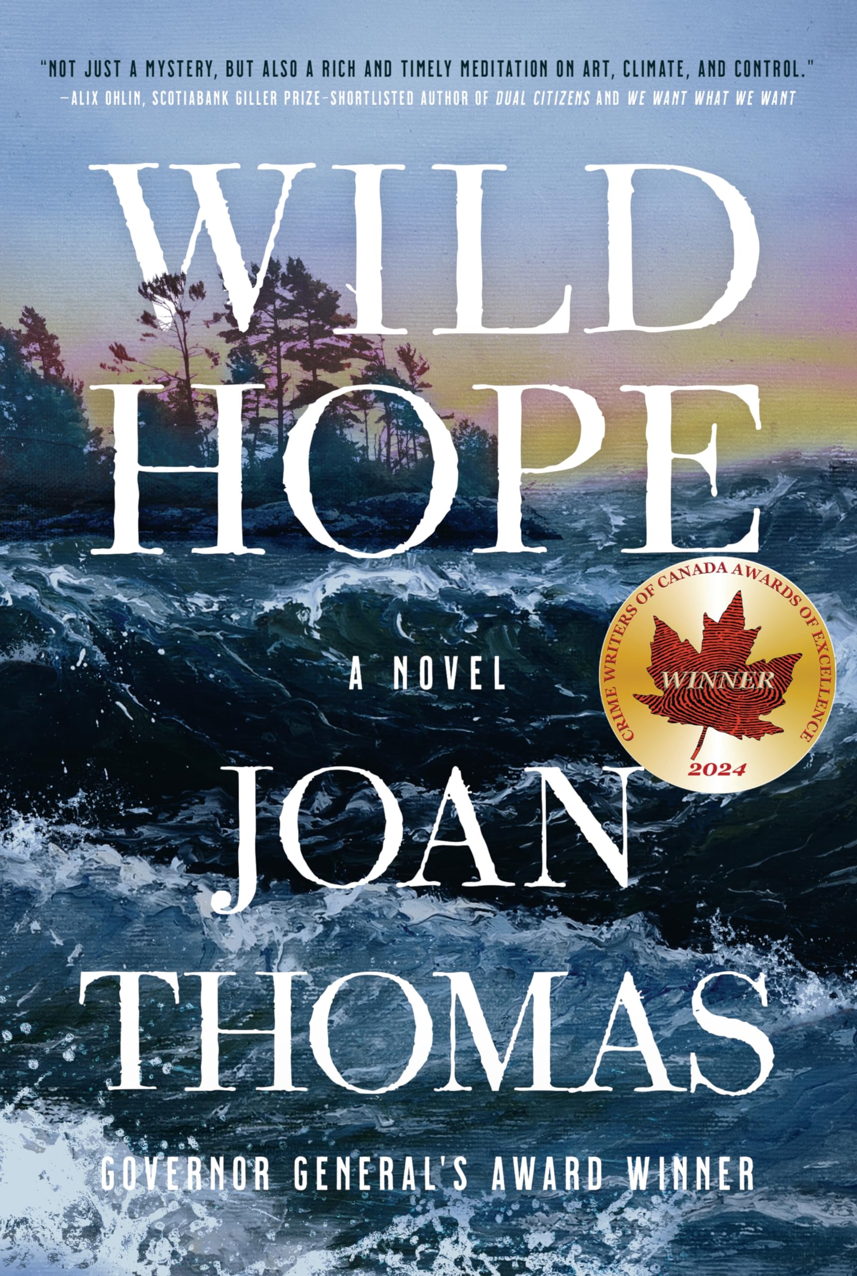 Wild Hope: A Novel Contemporary literature Books
