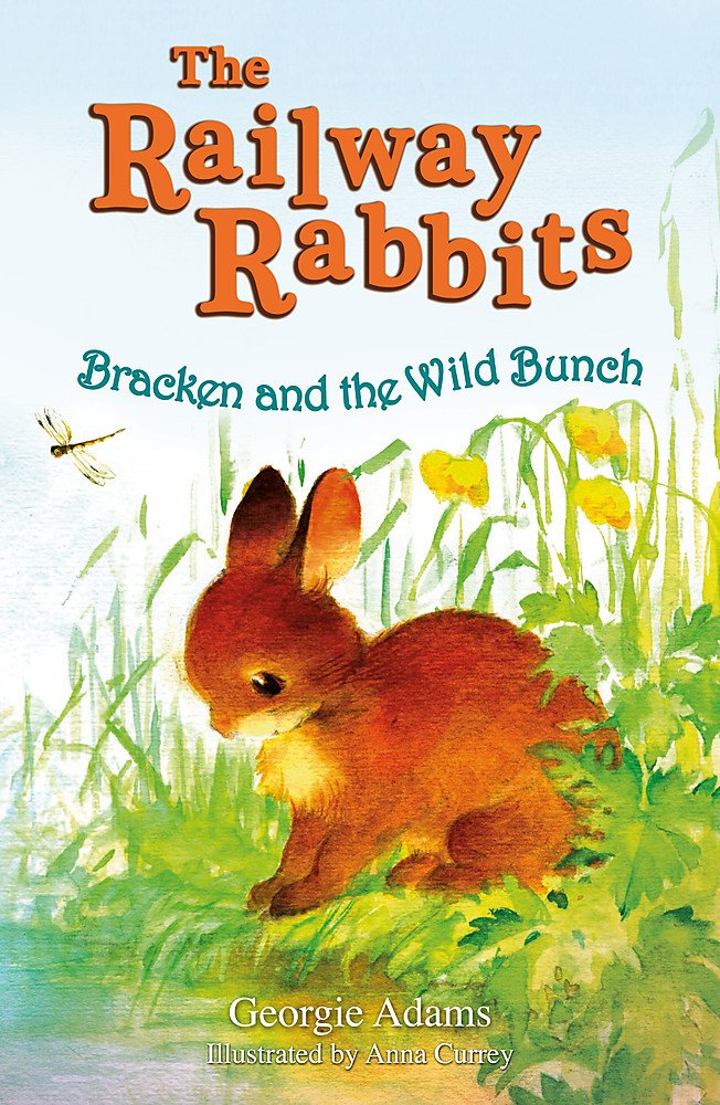 The Railway Rabbits - Bracken and the Wild Bunch: Book 11 Novels & Short Stories