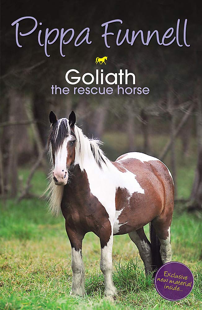 Tilly's Pony Tails: Goliath the Rescue Horse: Book 13 Novels & Short Stories