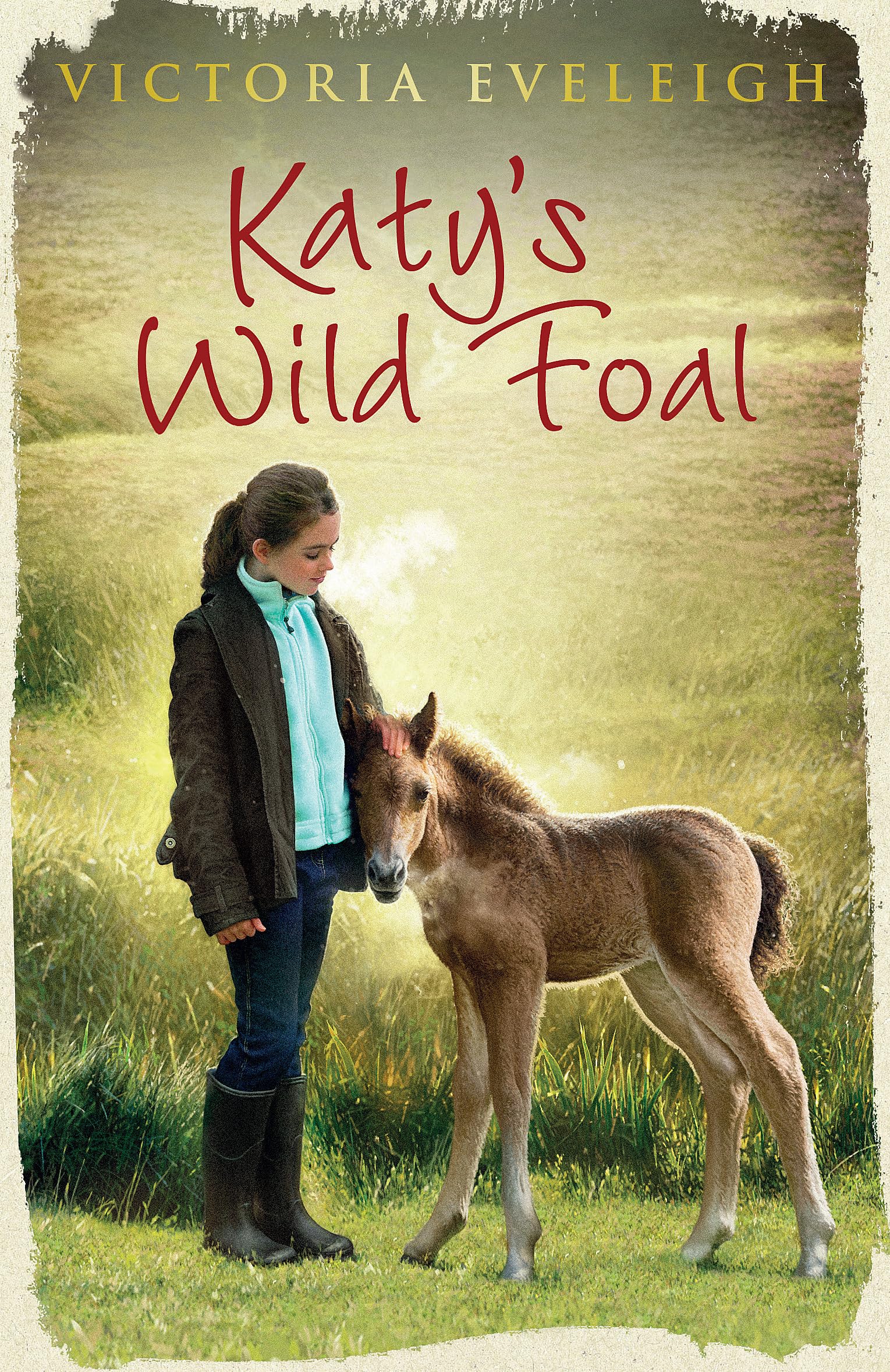 Katy's Wild Foal: Book 1 (Katy's Exmoor Ponies, Band 1) Non-fiction