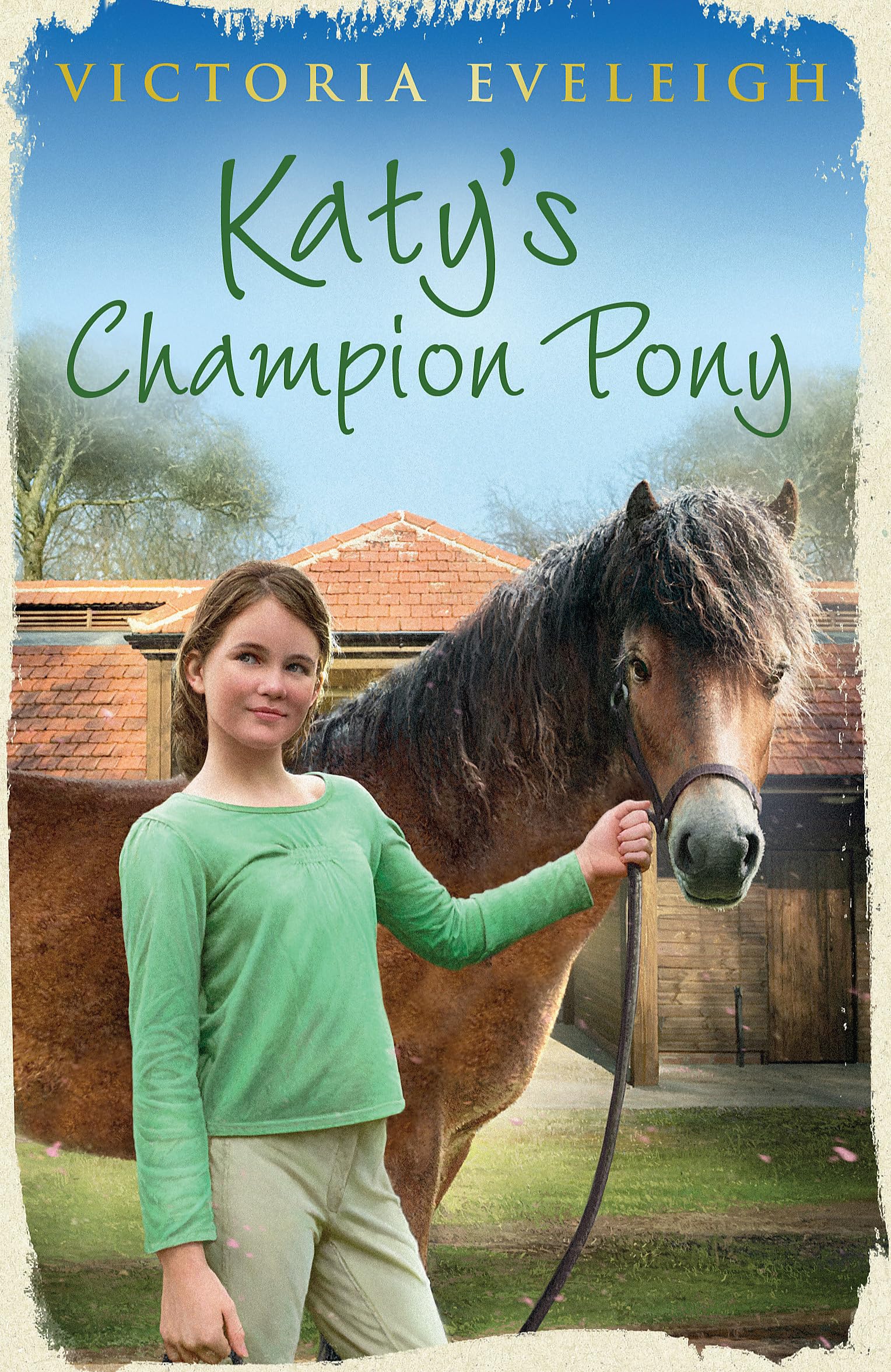 Katy's Champion Pony: Book 2 (Katy's Exmoor Ponies, Band 2) Novels & Short Stories