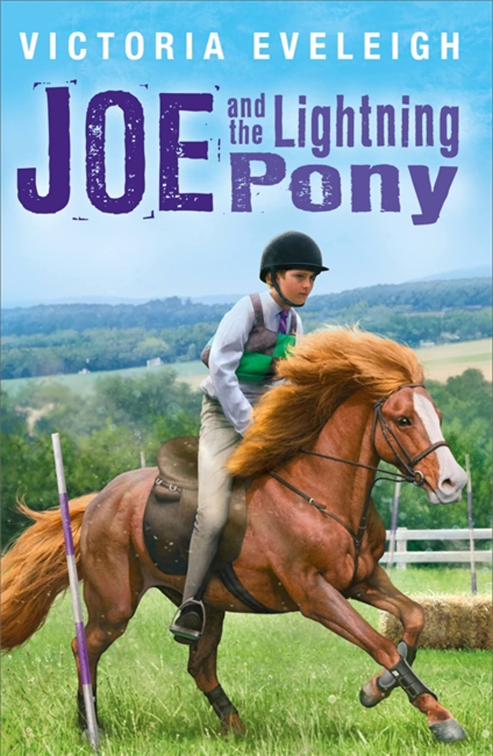 The Horseshoe Trilogy: Joe and the Lightning Pony: Book 2: A Boy and His Horses (The Horseshoe Trilogy, 2) Leisure & Fun