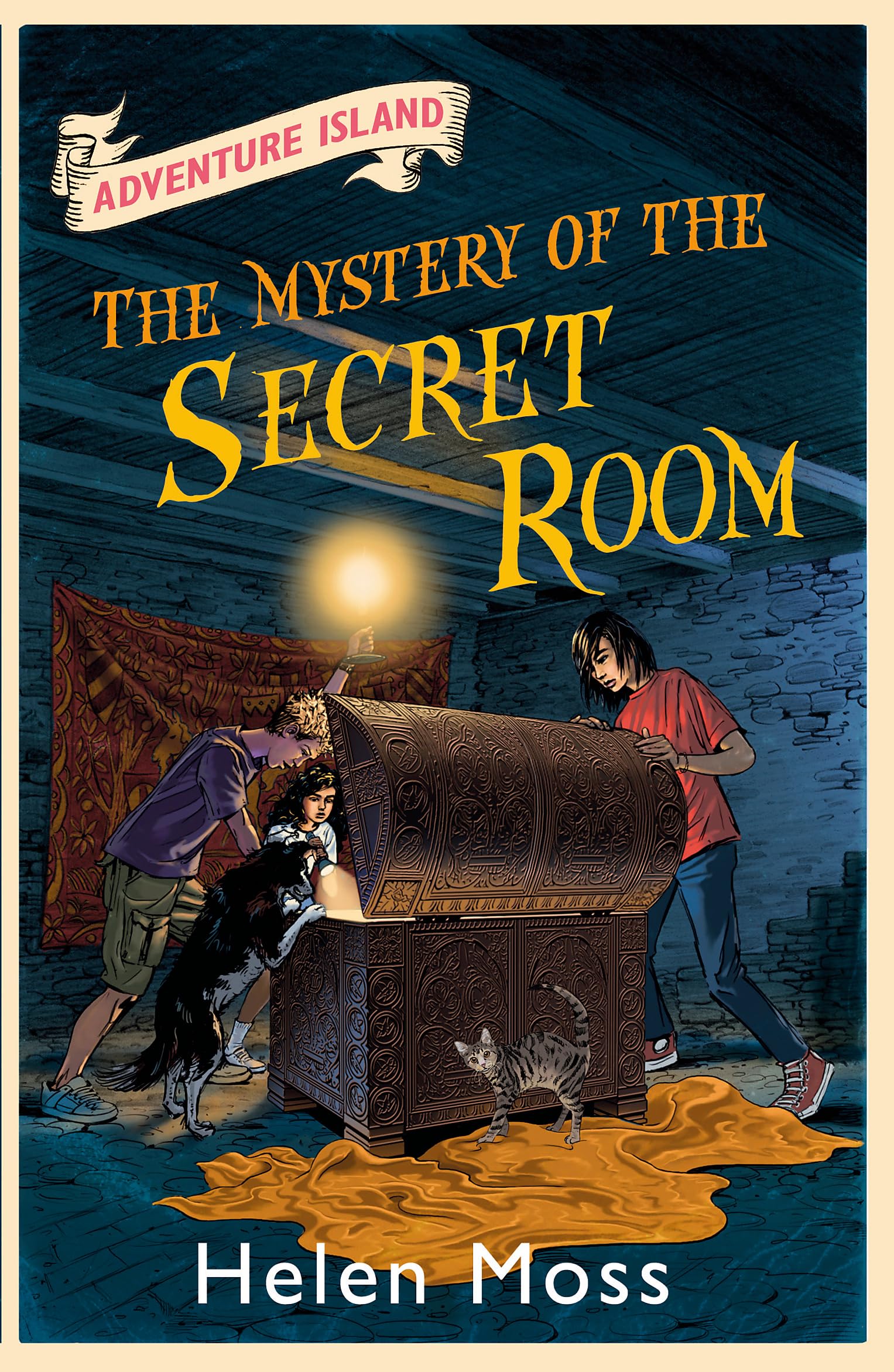 Adventure Island: The Mystery of the Secret Room Novels & Short Stories