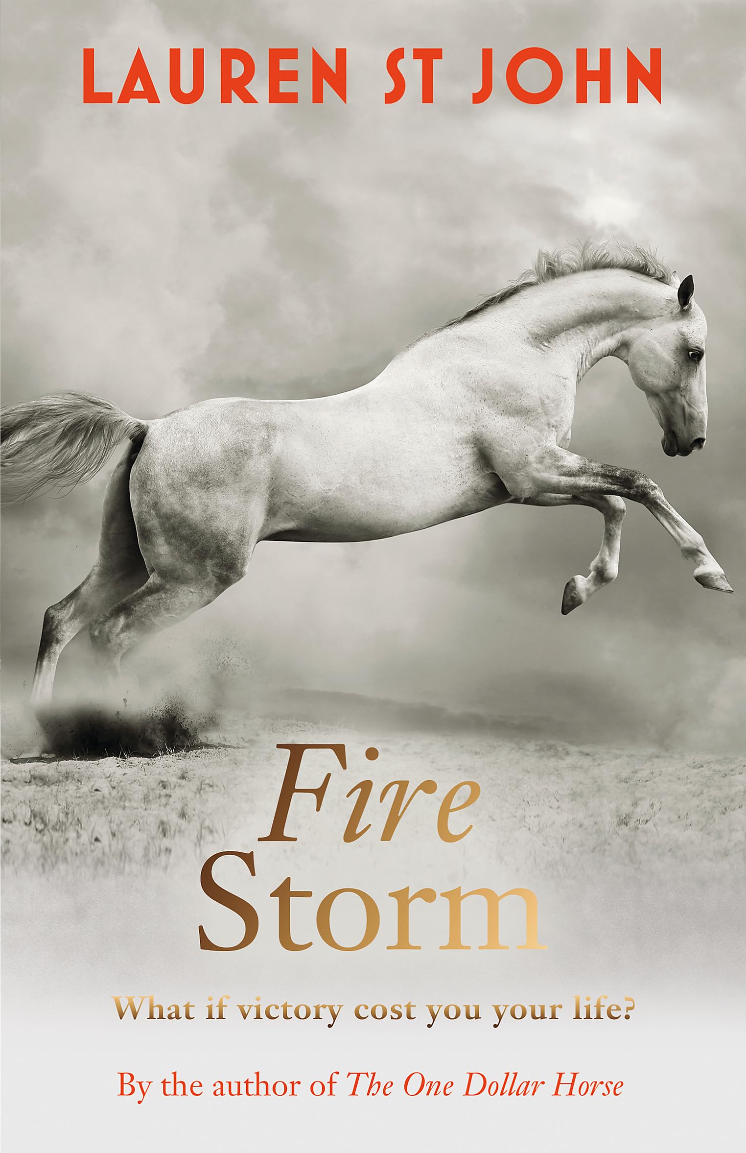 The One Dollar Horse: Fire Storm Romance