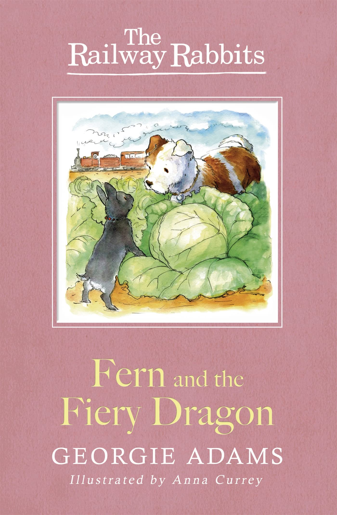 Railway Rabbits: Fern and the Fiery Dragon: Book 7 Study Guides