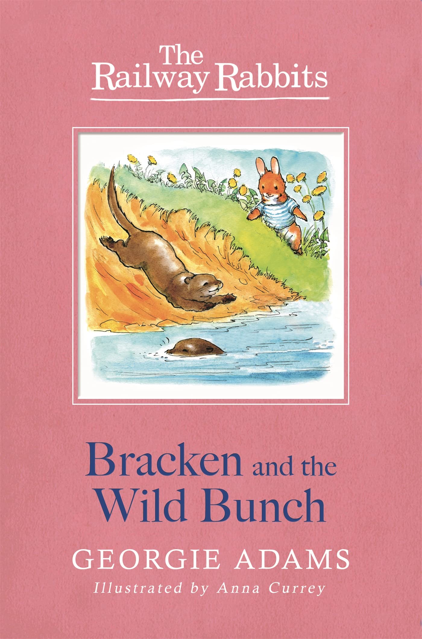 Railway Rabbits: Bracken and the Wild Bunch: Book 11 Novels & Short Stories