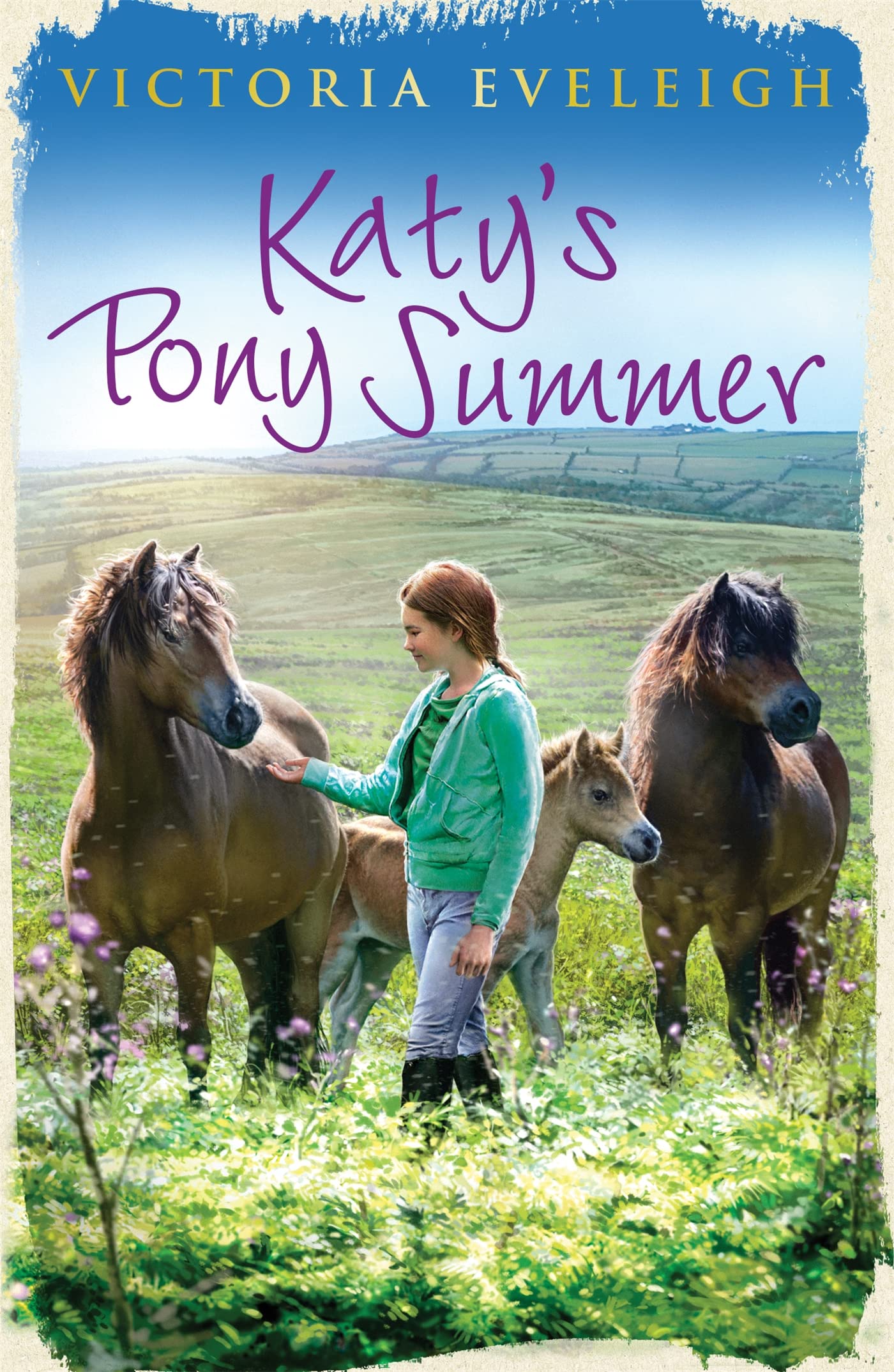 Katy's Pony Summer: Book 5 (Katy's Exmoor Ponies) Non-fiction