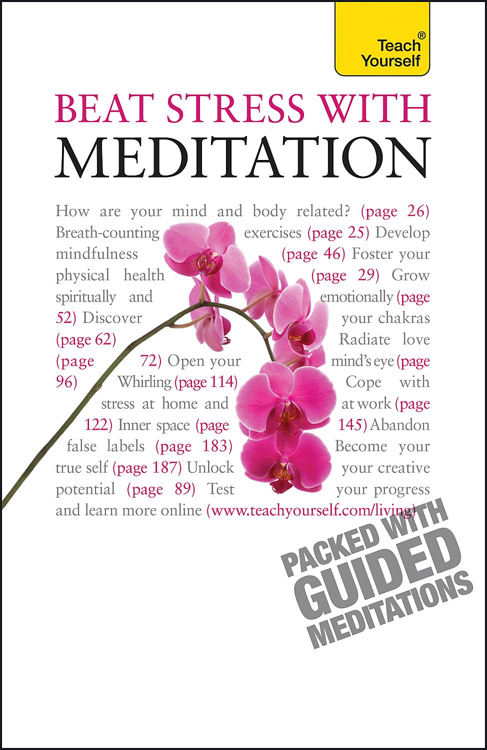 Beat Stress With Meditation: Teach Yourself book