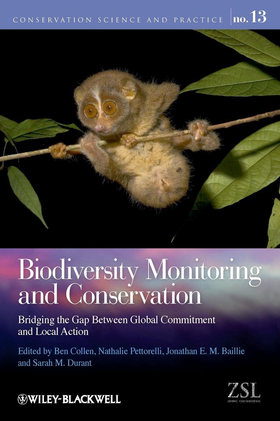 Biodiversity Monitoring and Conservation: Bridging the Gap Between Global Commitment and Local Action book