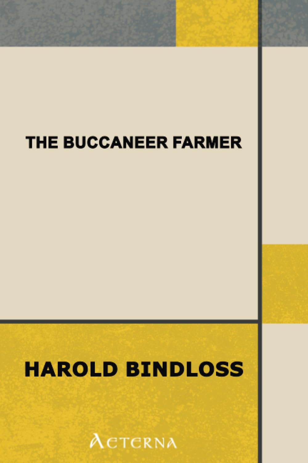 The Buccaneer Farmer. Published in England under the Title "Askew's Victory" Action & Adventure