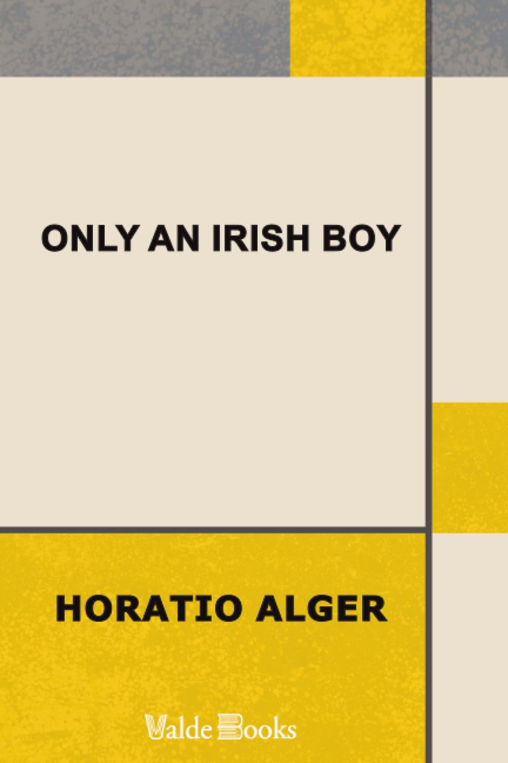 Only an Irish Boy; Or, Andy Burke's Fortunes Contemporary literature