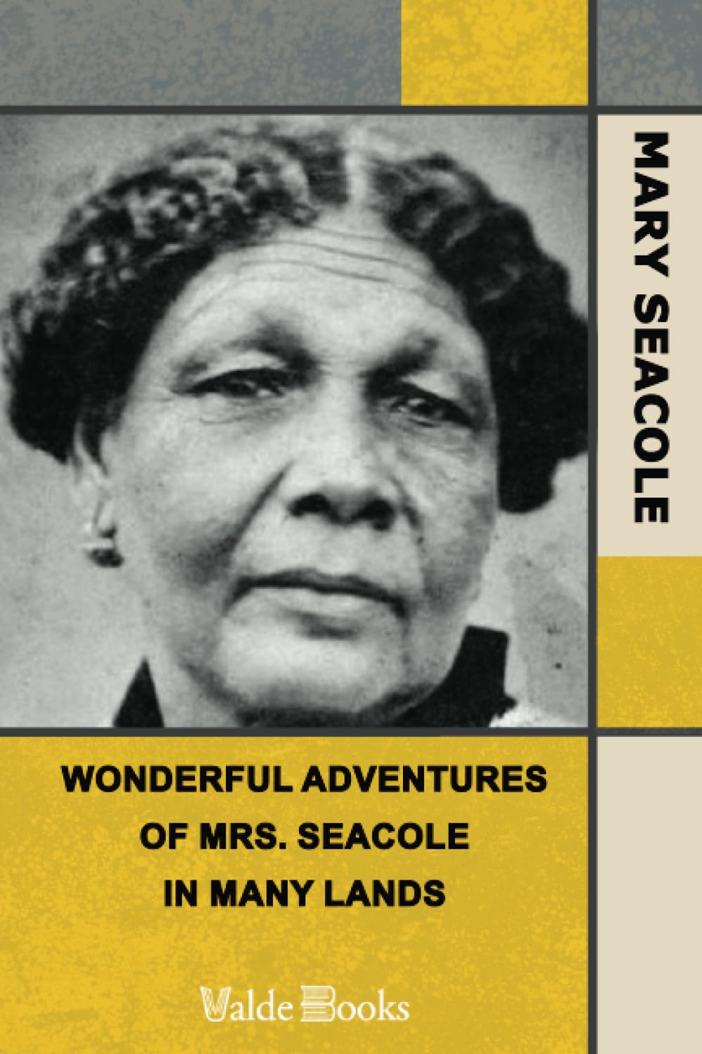 Wonderful Adventures of Mrs. Seacole in Many Lands book