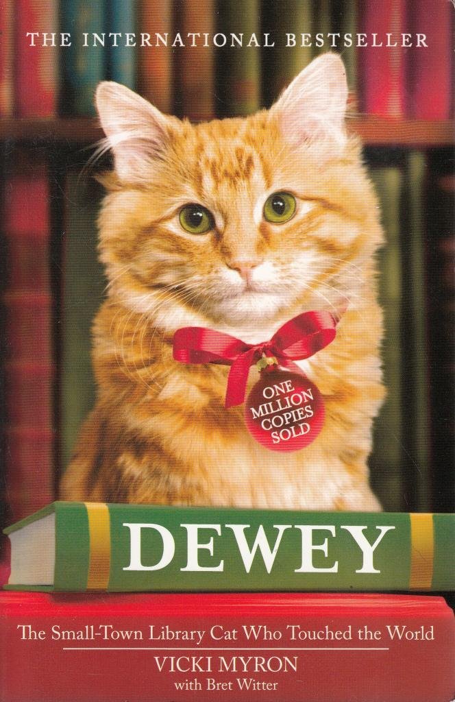 Dewey The Small-Town Library Cat Who Touched the World Books