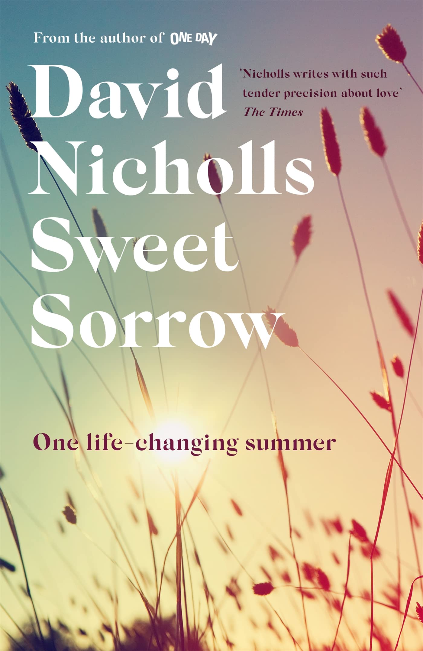 Sweet Sorrow: The Sunday Times bestselling novel from the author of ONE DAY Contemporary literature