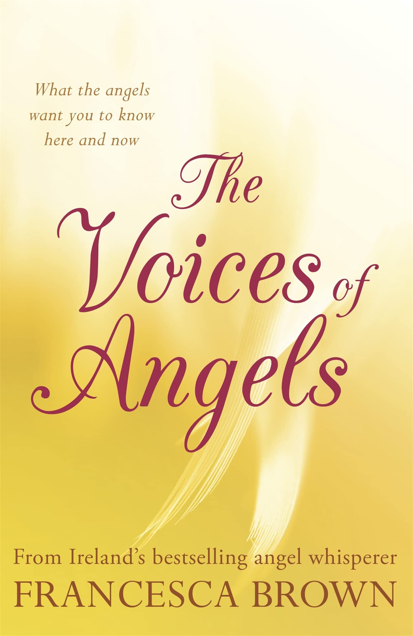 The Voices of Angels: Inspiring Stories and Divine Messages from Ireland's Angel Whisperer book