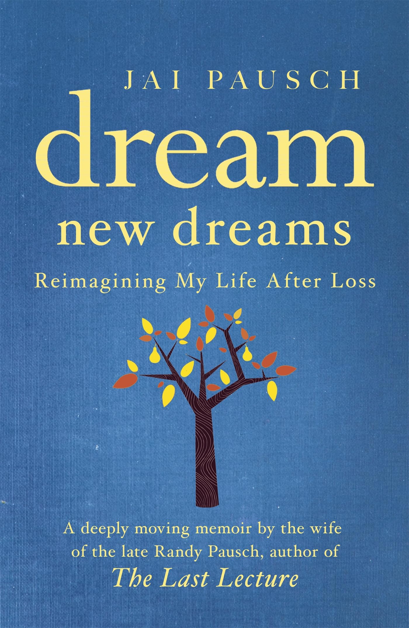 Dream New Dreams: Reimagining My Life After Loss book