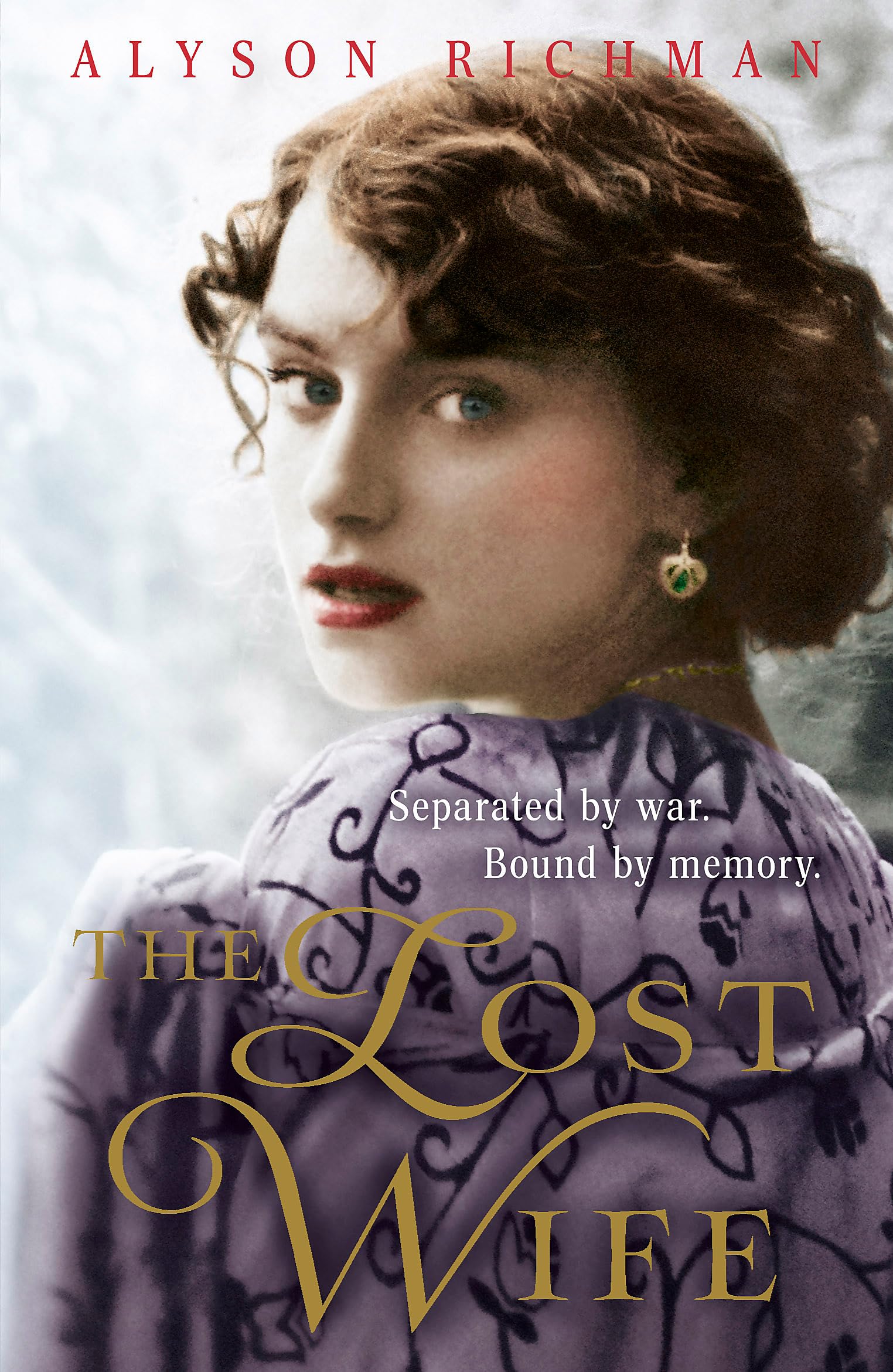 Product Image: The Lost Wife