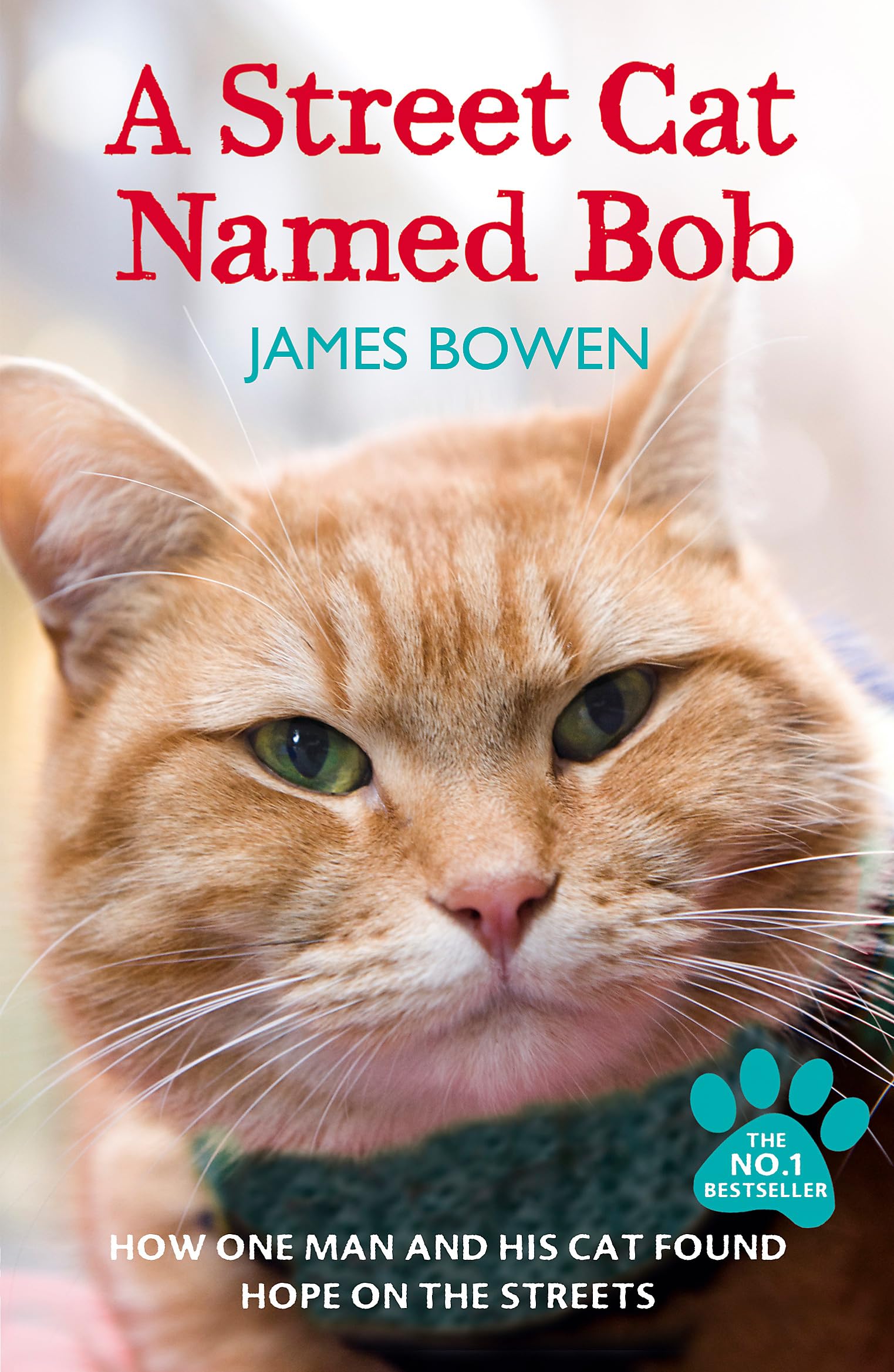 A Street Cat Named Bob Personalities