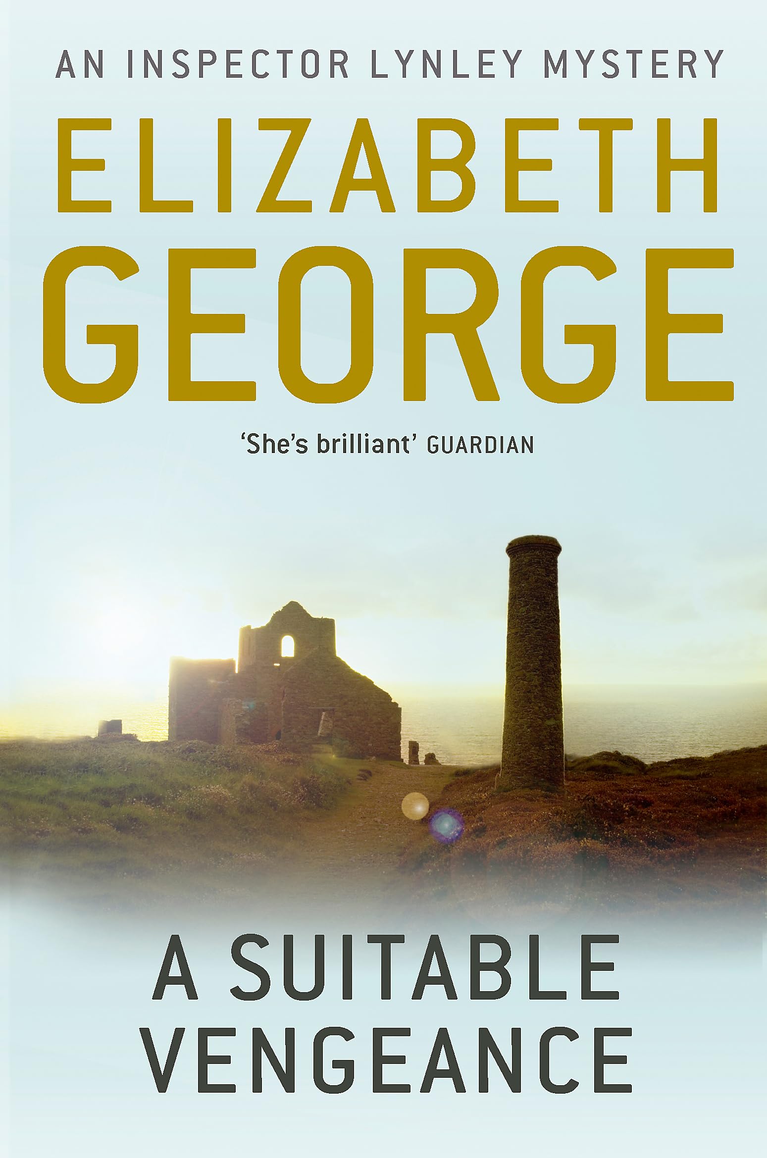 Product Image: A Suitable Vengeance