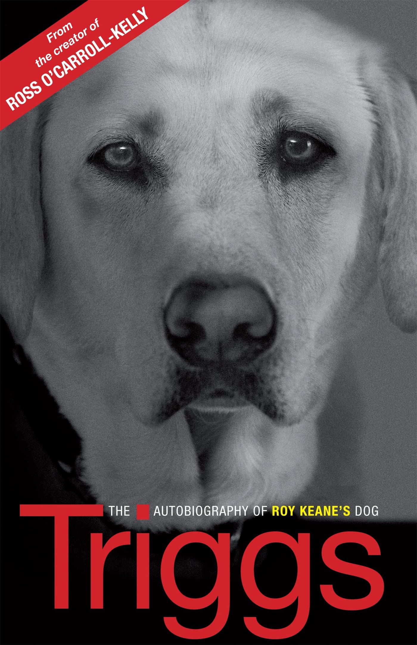 Triggs: The Autobiography of Roy Keane's dog book