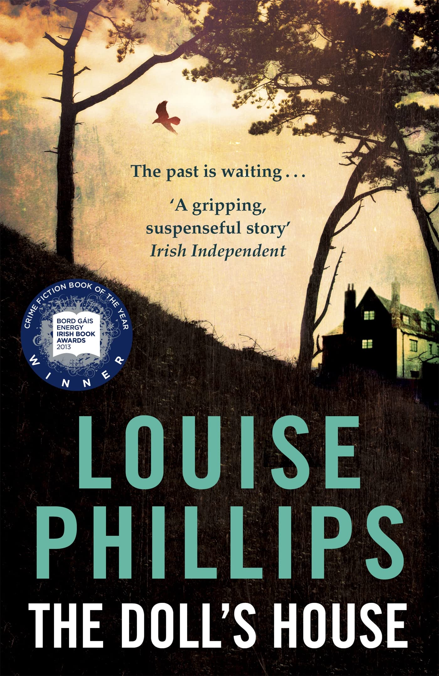 The Doll's House (A Dr Kate Pearson novel) Contemporary literature