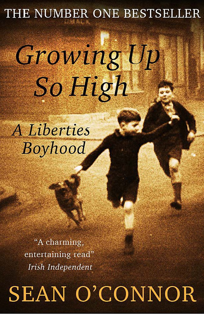 Growing Up So High: A Liberties Boyhood Politics & Society