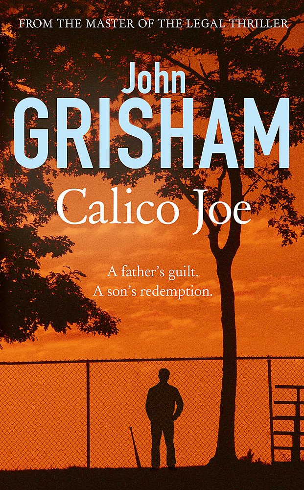 Calico Joe Contemporary literature Books