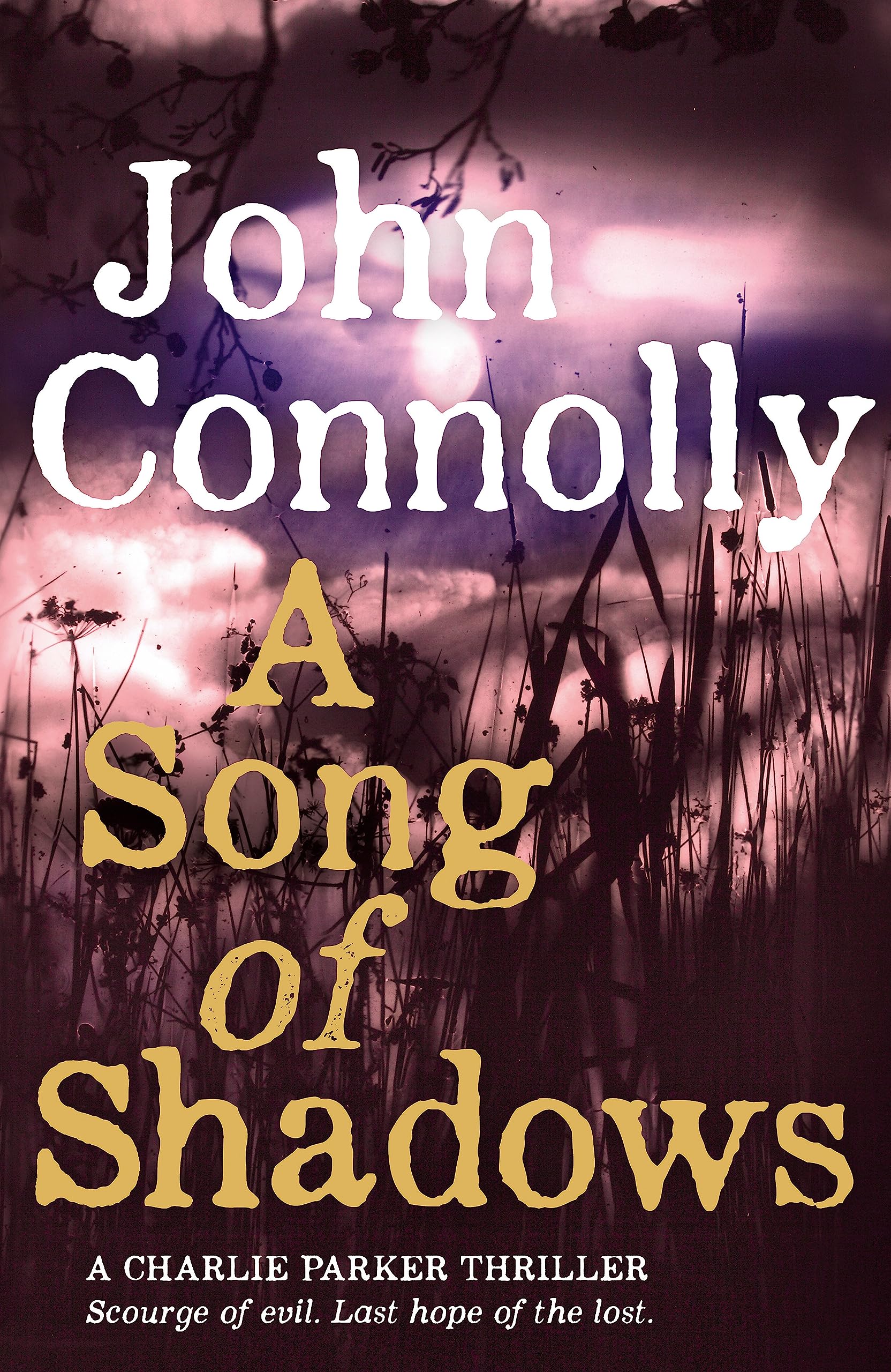 A Song of Shadows: A Charlie Parker Thriller: 13 book