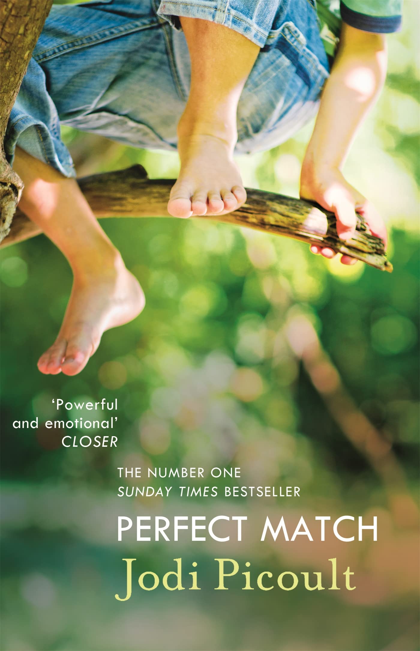 Perfect Match: the international bestseller about the strength of a mother's love Contemporary literature Books