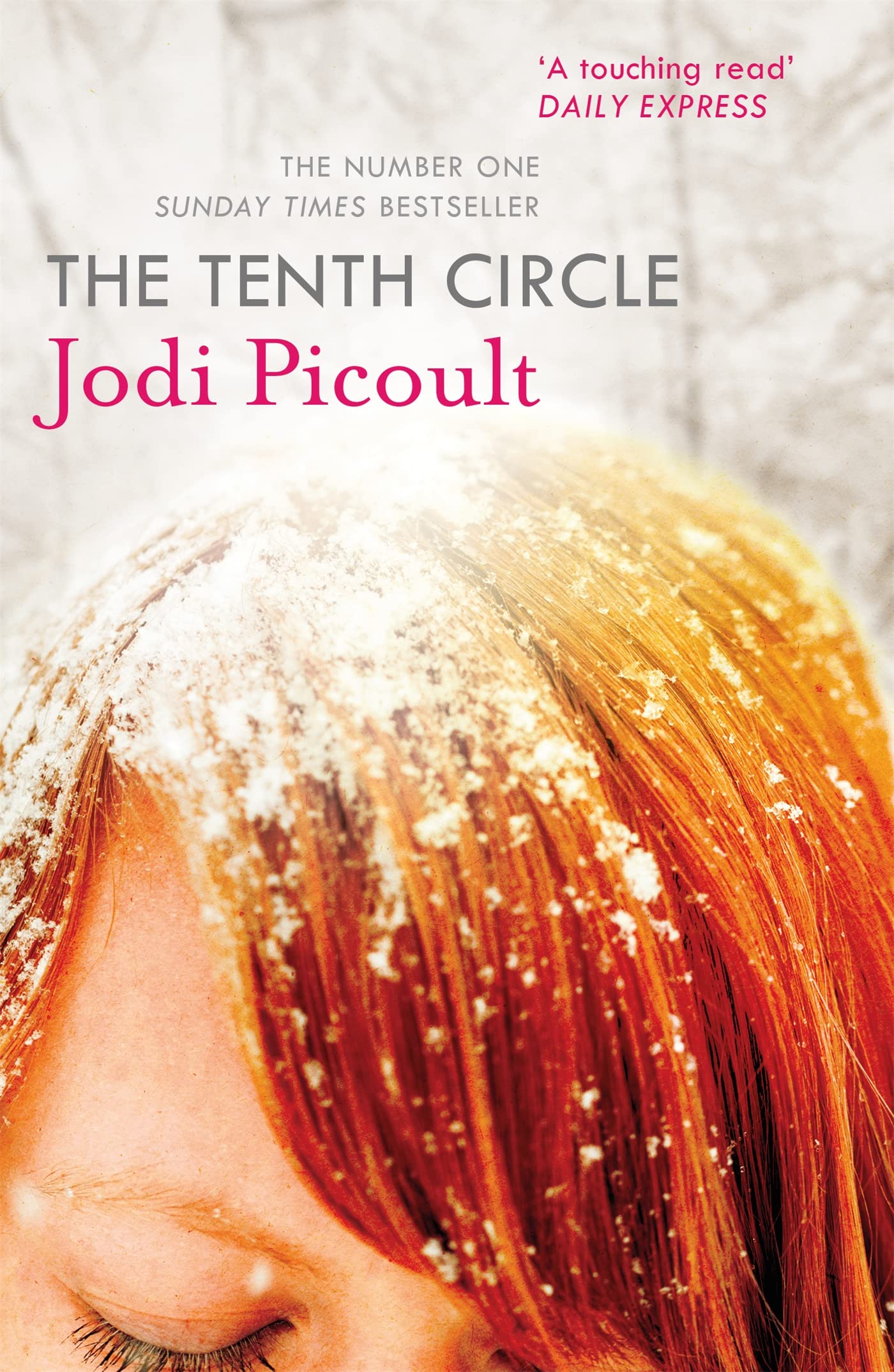 The Tenth Circle: A completely heartbreaking and gripping ethical dilemma novel from the bestselling author of My Sister's Keeper Contemporary literature