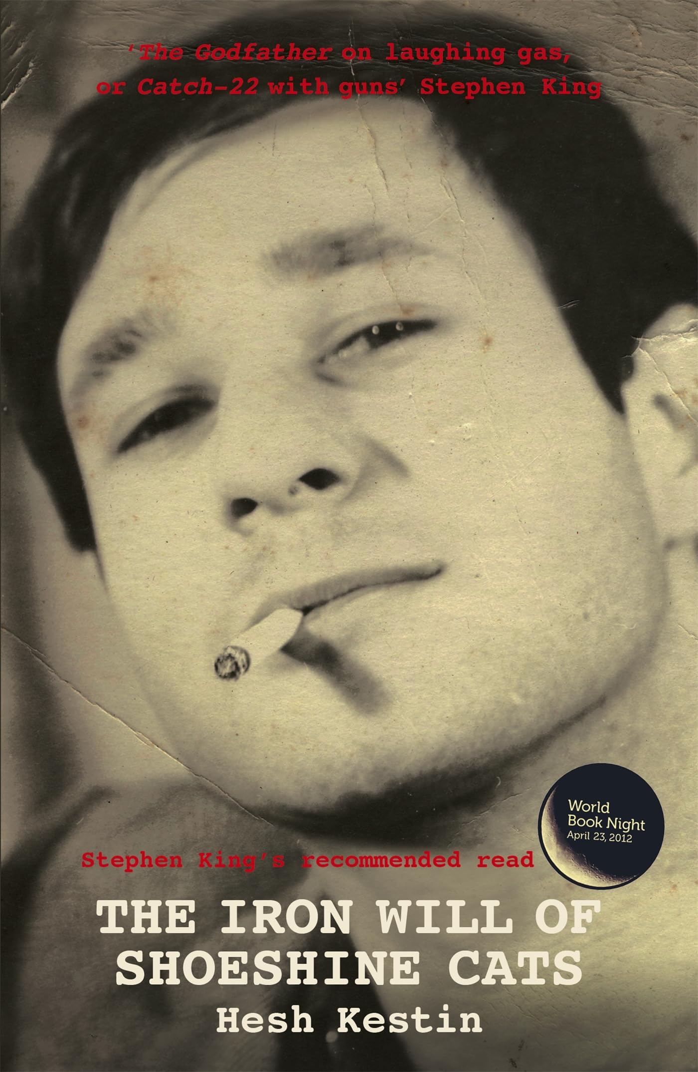 The Iron Will of Shoeshine Cats book