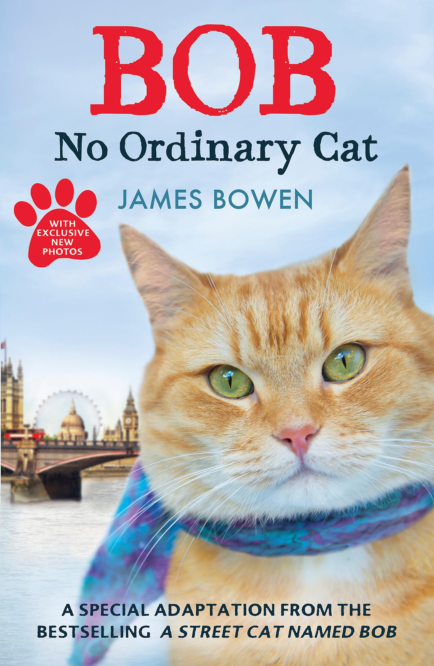 Bob - No Ordinary Cat Memories