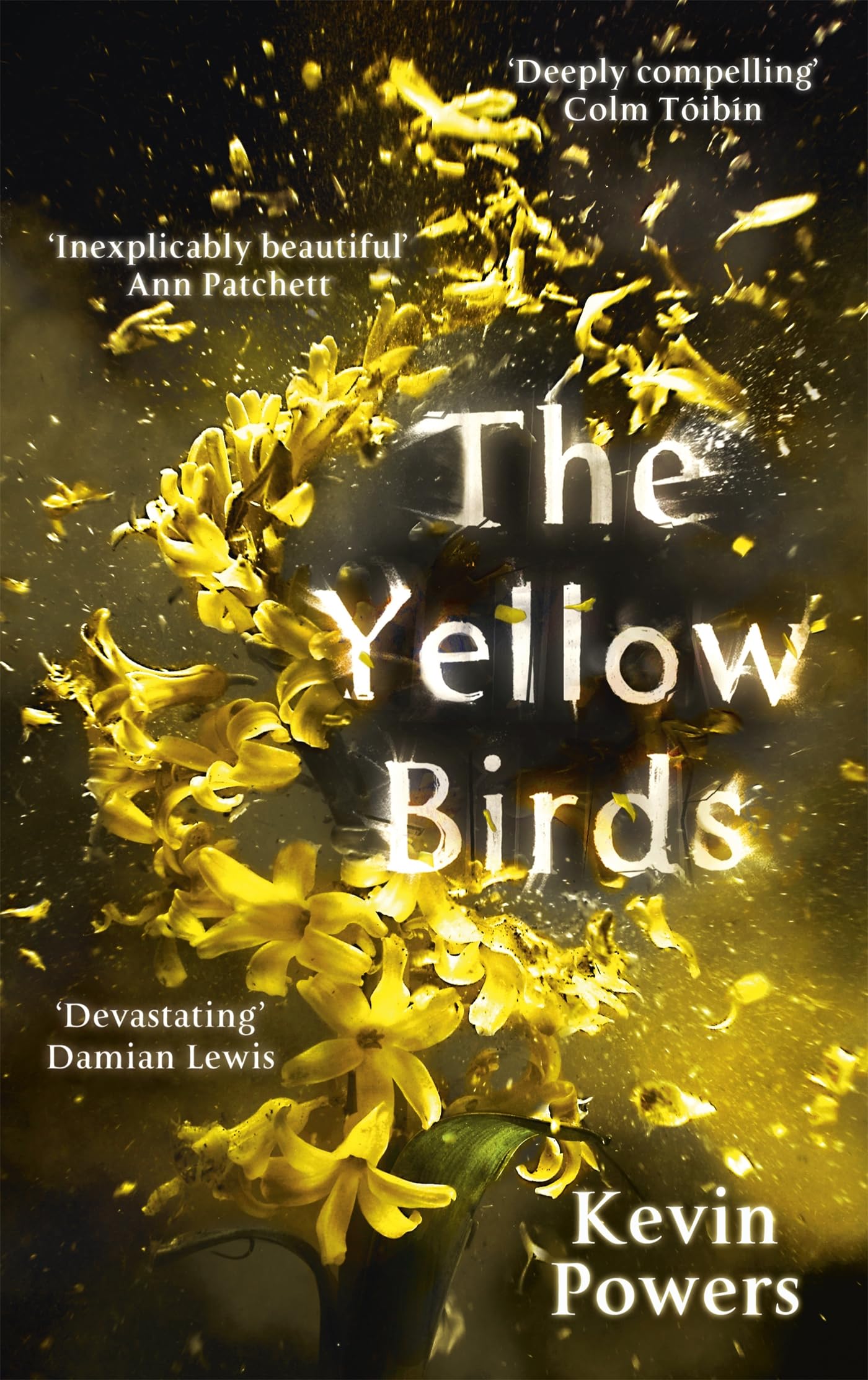 The Yellow Birds Contemporary literature Books