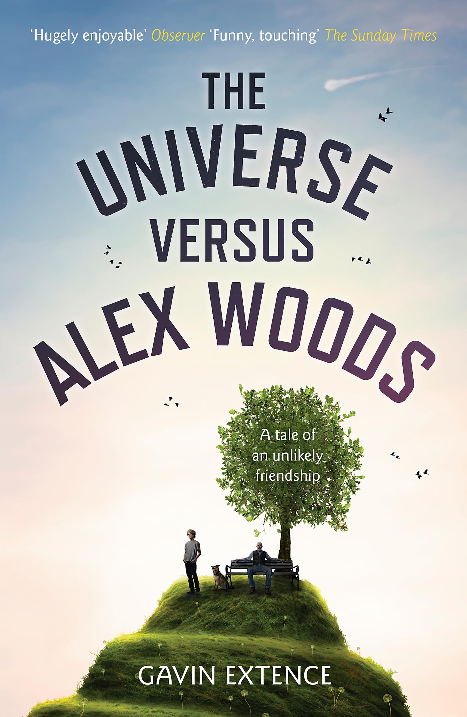 The Universe Versus Alex Woods Contemporary literature Books