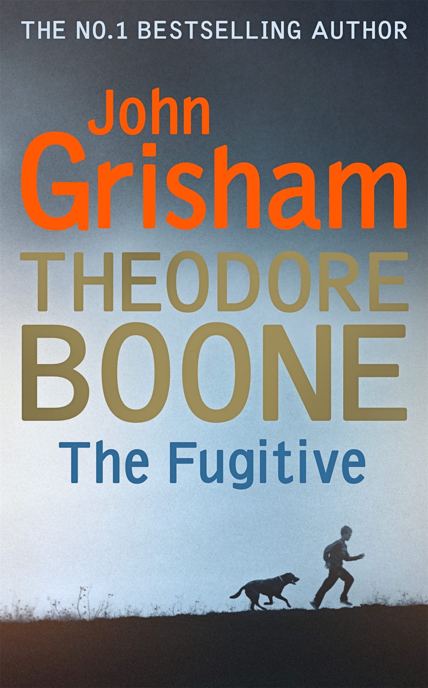 Theodore Boone: The Fugitive: Theodore Boone 5 Contemporary literature