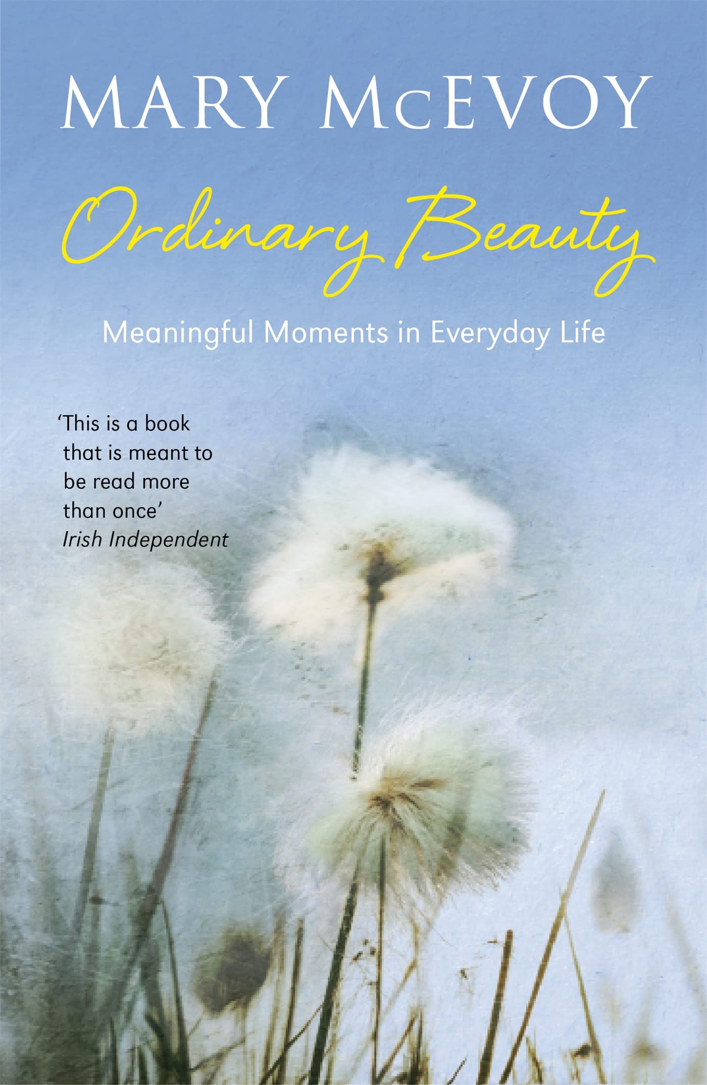 Ordinary Beauty: Meaningful Moments in Everyday Life book