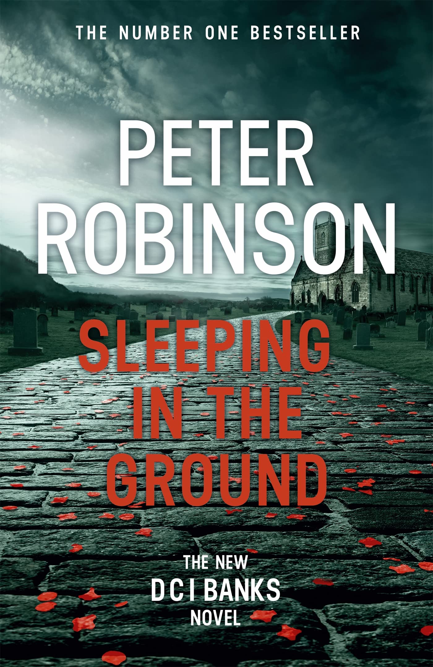 Sleeping in the Ground Contemporary literature Books