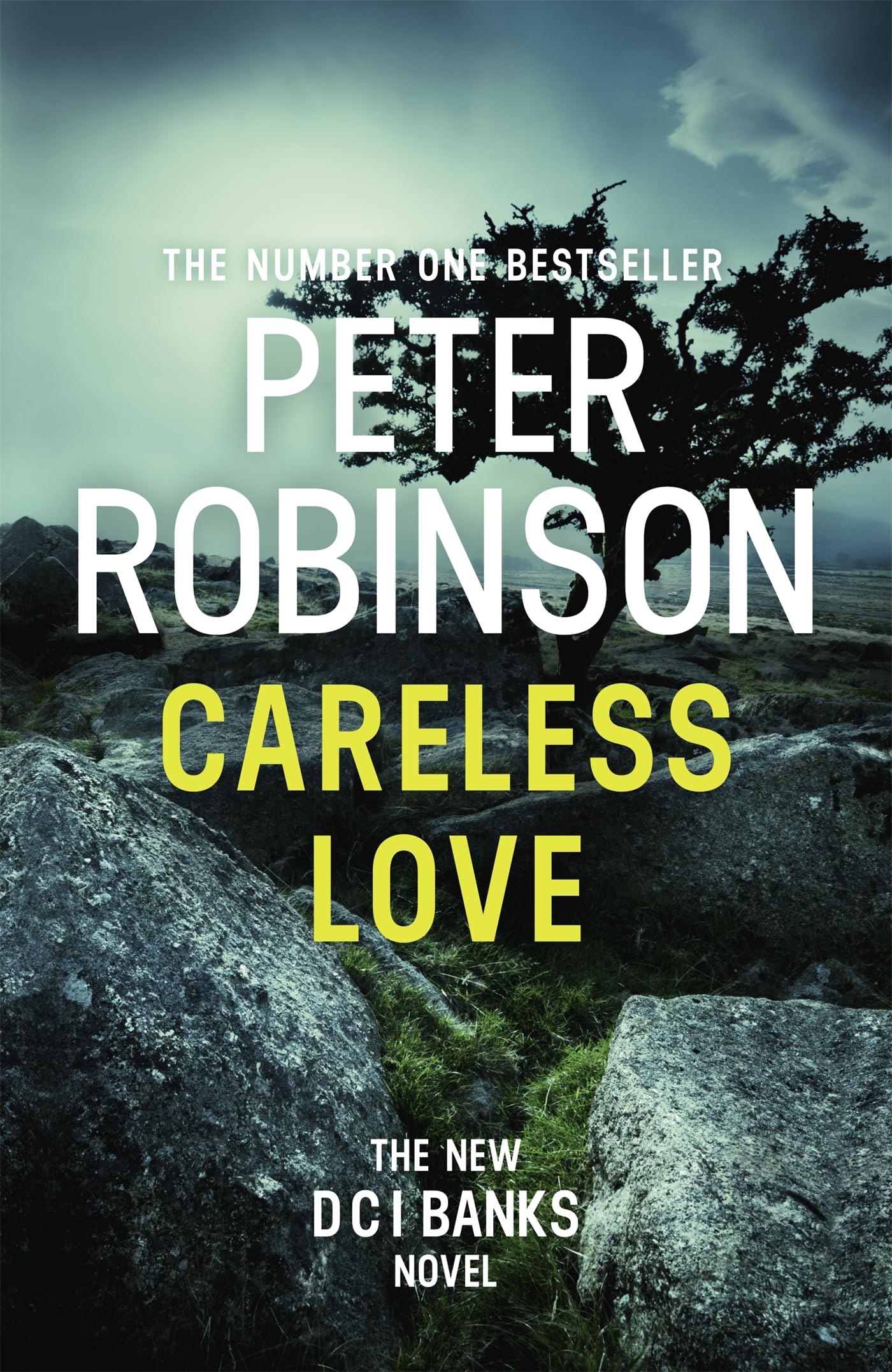 Robinson, P: The Fool on the Hill Contemporary literature