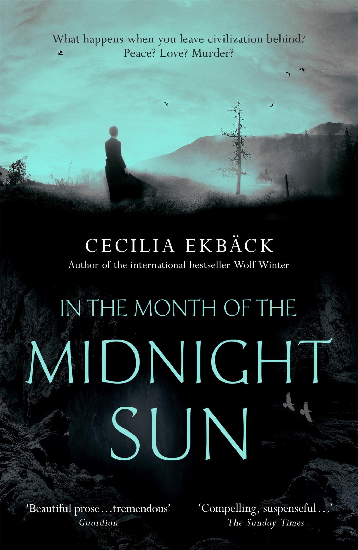 In the Month of the Midnight Sun book
