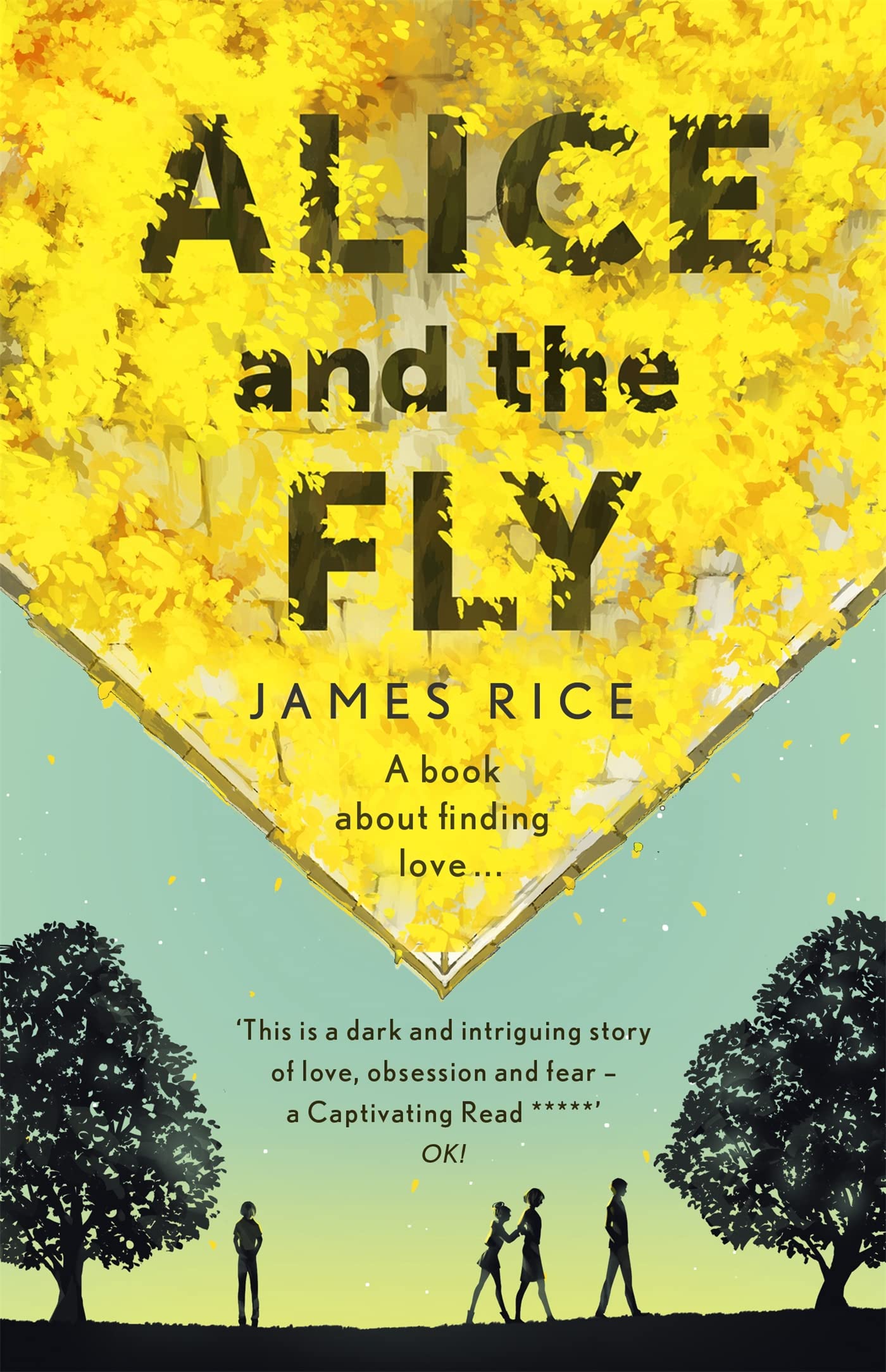 Alice and the Fly: 'a darkly quirky story of love, obsession and fear' Anna James Contemporary literature Books