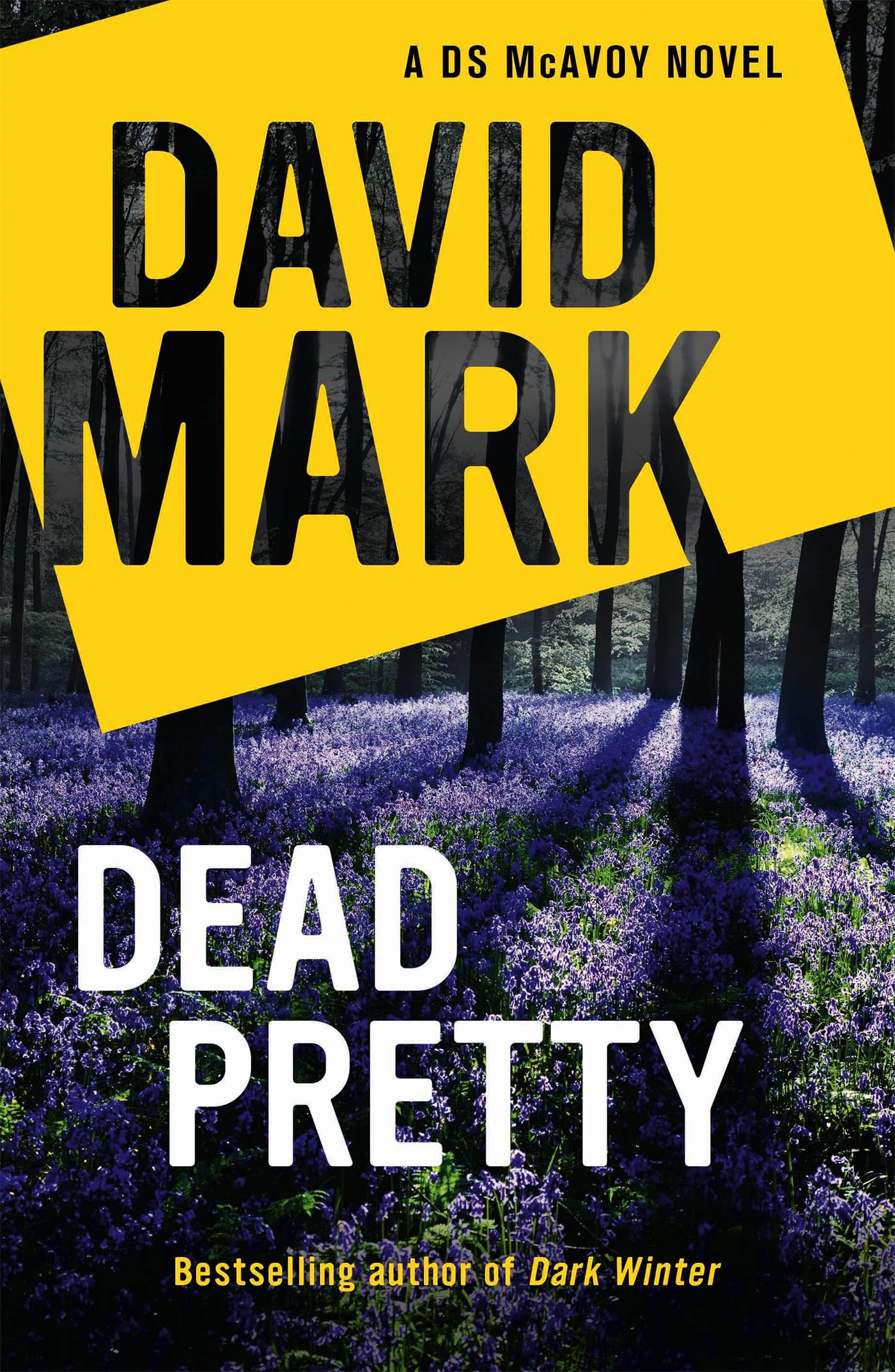 Dead Pretty: The 5th DS McAvoy novel from the Richard & Judy bestselling author Action & Adventure